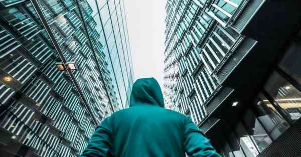 外国语单招大数据的行业文章