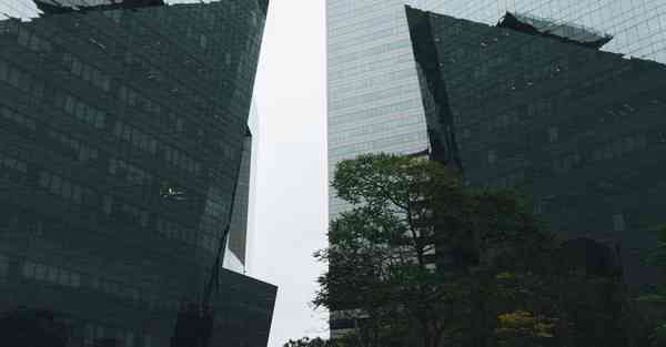 大数据数据动态性