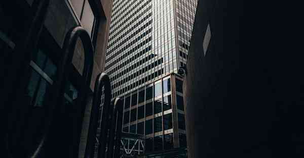 外国语单招大数据的行业文章