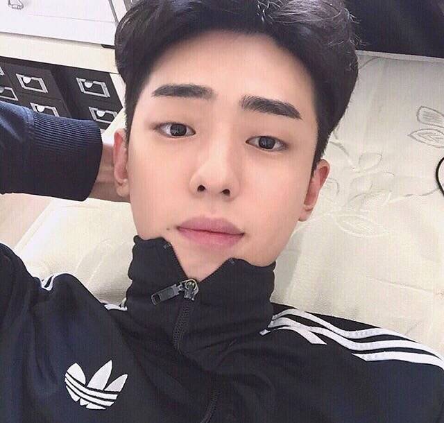 尹世以致