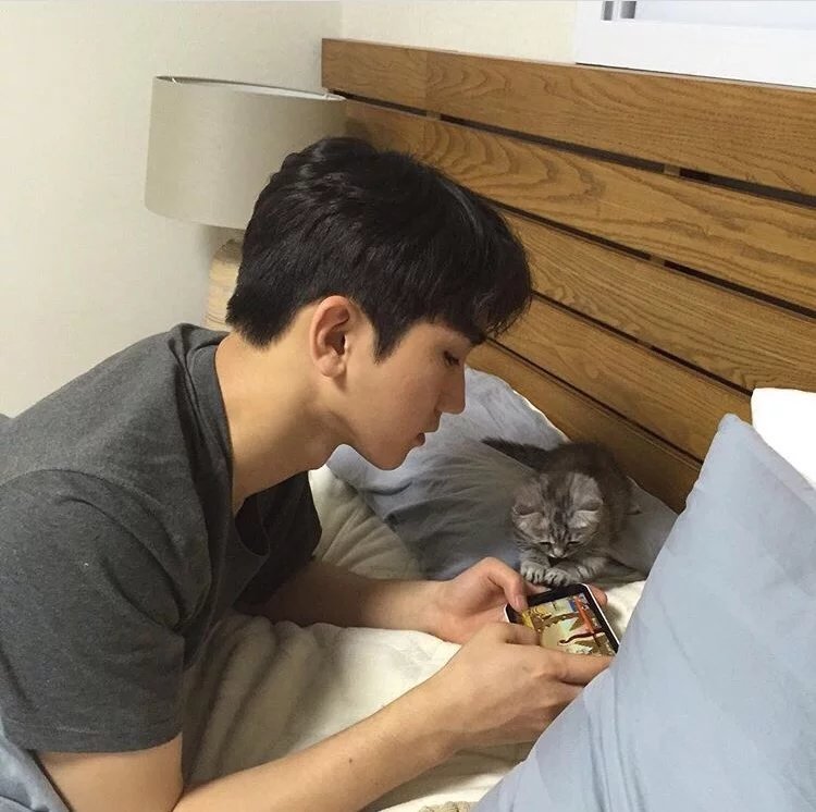 耿菊晶姬