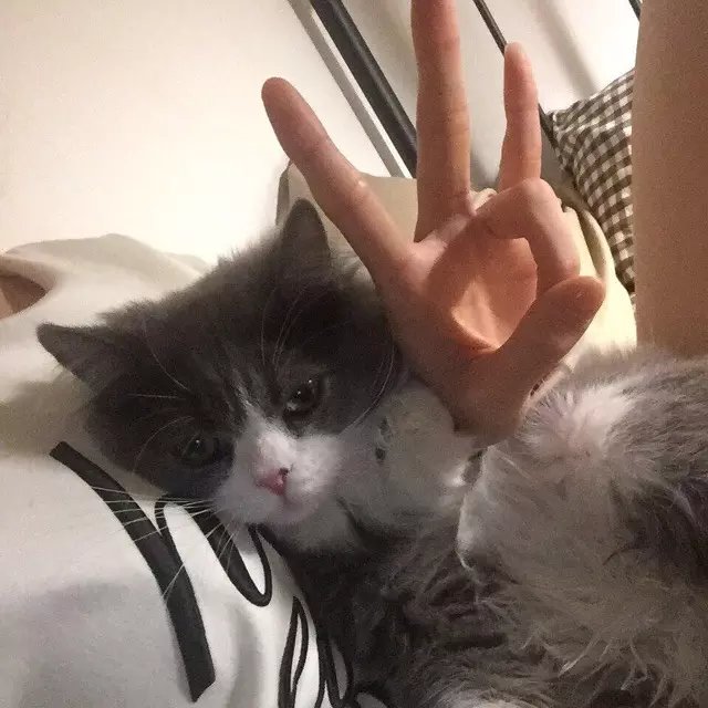 骆保馨姣