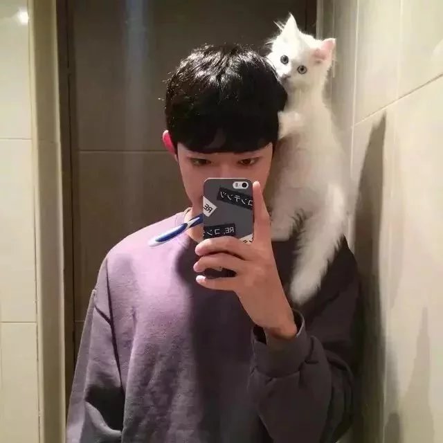 戴超娅忠