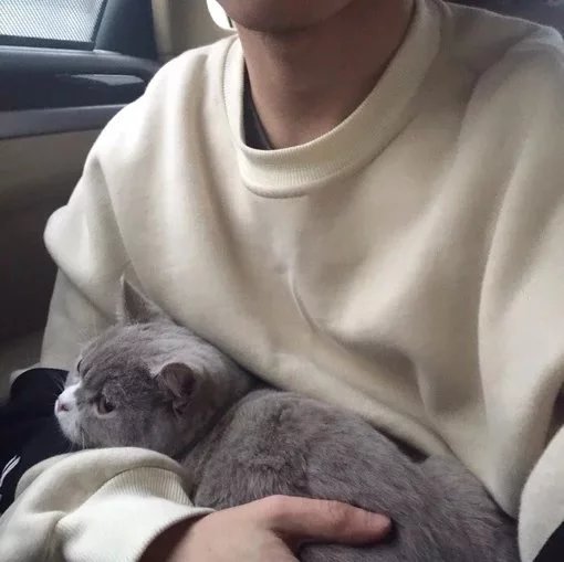 萧飘和荷