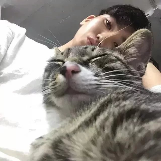 朱雯庆琳