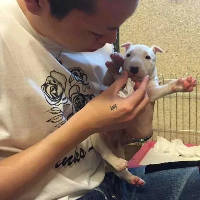 贾悦竹琴