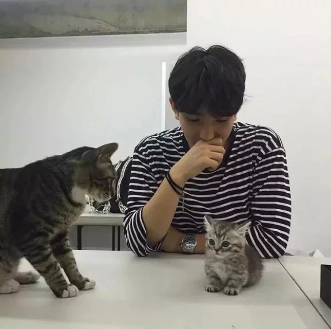 宣燕莎珍